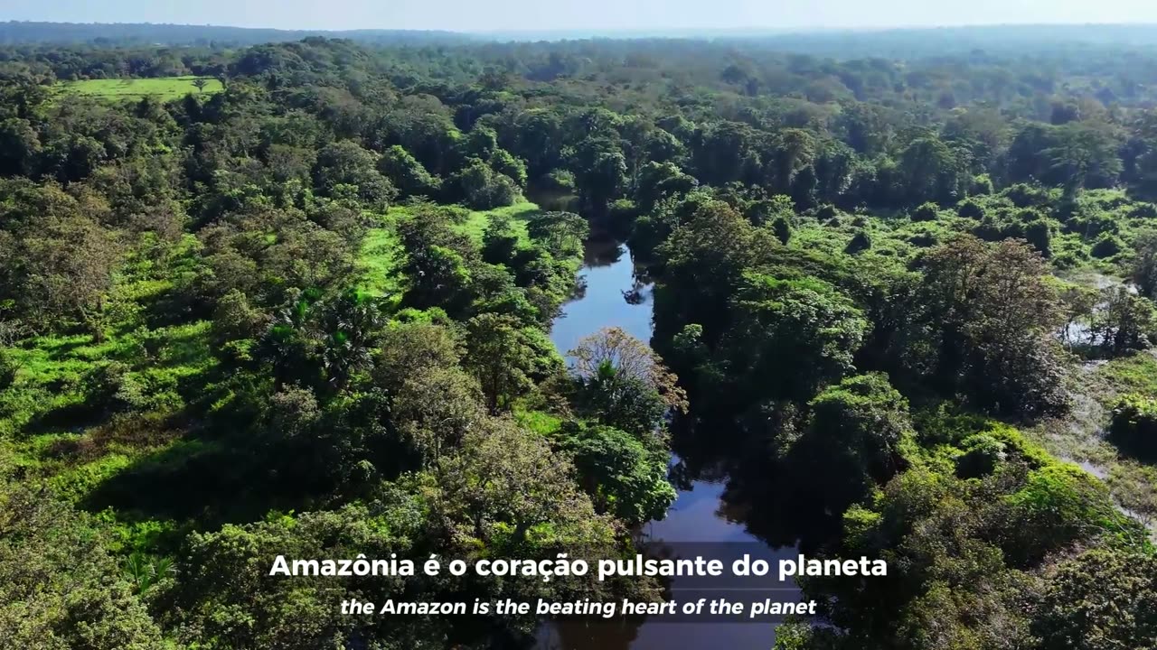 Conheça o BRC